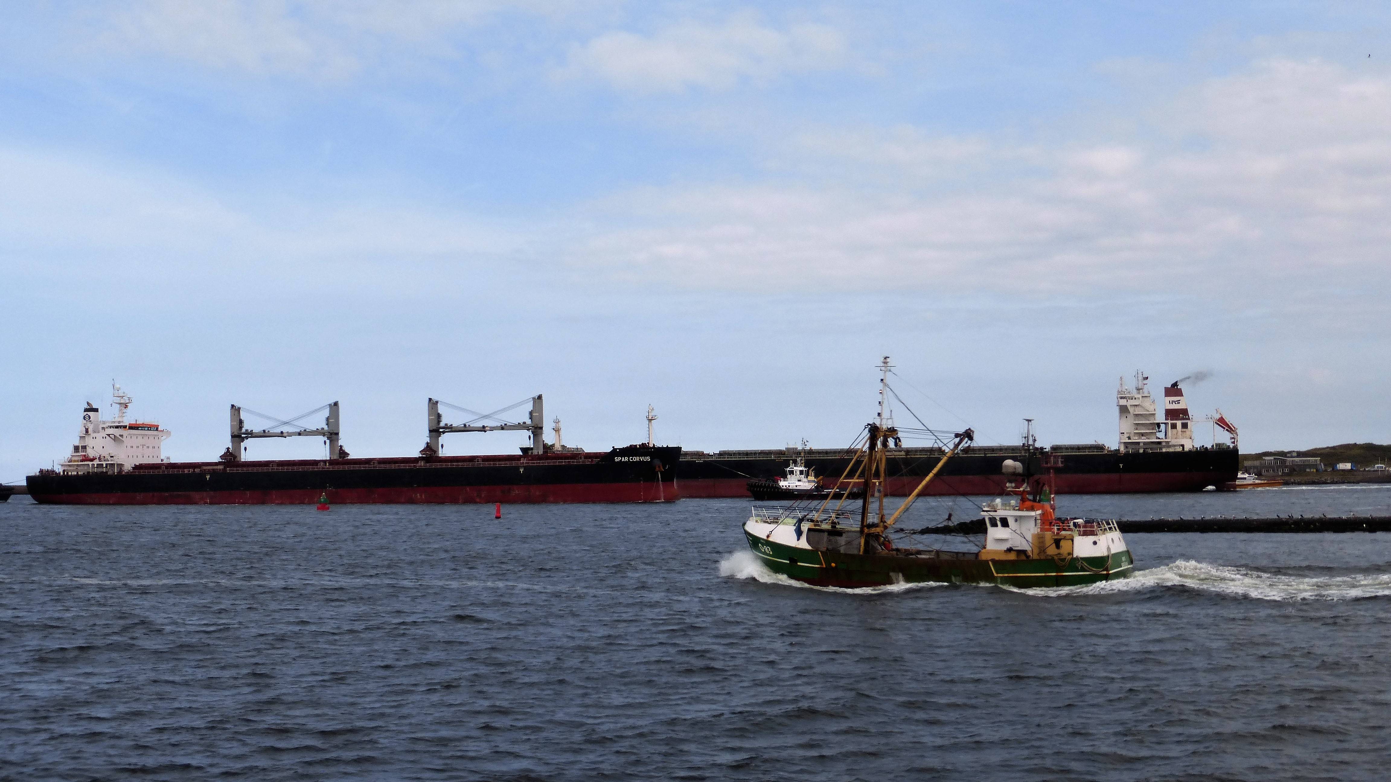 Pieren IJmuiden 24-08-17 